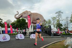 BIB: 
                            <button type="button" onclick="openModal(26528422)" class="btn btn-primary btn-sm float-right btn-popup" data-toggle="modal" data-target=".modal-high-quality">
                        <i class="fas fa-shopping-cart"></i> Add to Cart
                    </button>
                                            <button type="button" onclick="isThisMe(26528422, true)" class="btn btn-success btn-sm float-right btn-popup btn-isme hidden" data-toggle="tooltip" data-placement="bottom" title="นี่คือรูปของคุณใช่ไหม คลิกที่นี่เพื่อเอาเข้าอัลบั้ม">
                        <i class="fas fa-plus"></i> Add to album
                    </button>
                    <button type="button" onclick="isThisMe(26528422, false)" class="btn btn-warning btn-sm float-right btn-popup btn-isnotme hidden">
                        <i class="fas fa-ban"></i> Remove from album
                    </button>